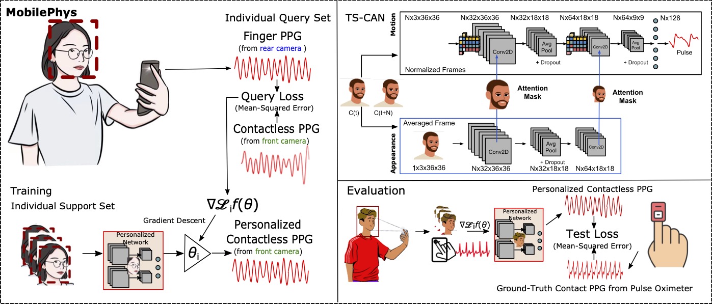MobilePhys
